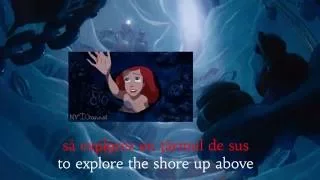 Part of Your World- Romanian (Subs+Translation)