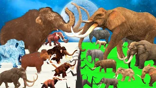 10 Woolly Mammoth Vs 10 Mastodon Elephant Prehistoric Mammals Animals Epic Battle Animals Revolt Sim