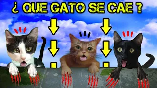 ¿Qué gato se cae jugando con los gatitos Luna y Estrella al juego Stray? Videos de gatos en español