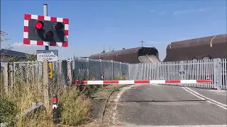 Abandoned Stoke Level Crossing Still Works!