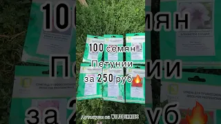 Профессиональные семена, очень экономно🔥 Делиться находками?