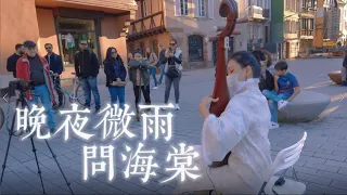 [French Street | Chinese Pipa Cover] "Wan Ye Wei Yu Wen Hai Tang"