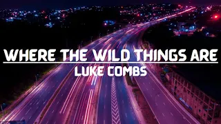 Where the Wild Things Are - Luke Combs - Lyrics