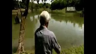 River Monsters-Battling an Arapaima