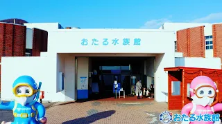 おたる水族館の歌