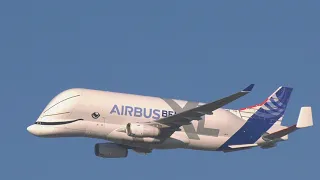 airbus beluga xl 2019