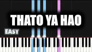 Lebo Sekgobela - Thato Ya Hao | EASY PIANO TUTORIAL by SA Gospel Piano