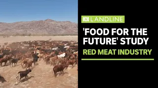 Australia's largest sustainability study of the red meat industry is underway | Landline | ABC News