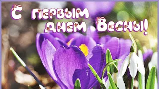 С ПЕРВЫМ ДНЕМ ВЕСНЫ🌷Красивое музыкальное поздравление ☀️🌺Открытка  С Первым Днем Весны🌿🌷🌼