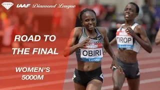 Road To The Final: Women's 5000m - IAAF Diamond League