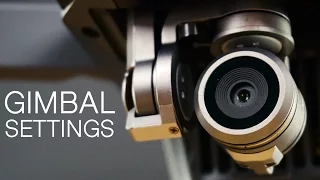 How To Adjust Gimbal Tilt And Speed Settings | DJI Mavic Pro