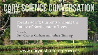 Forests Adrift  A Conversation on the Future of Northeastern Forests