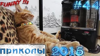 Отборные приколы (#44) 13.02.2015 / Funny Best Jokes