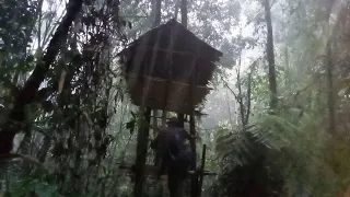 Alone in Extreme Rain, Extremely Chaotic Situation, Sleeping in a Solid Two Floor Tree Shelter