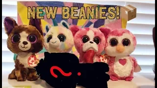 REVIEWING NEW BEANIE BOO PACKAGES! 📦