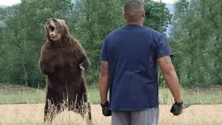 Медведица просила помощи у человека, рискуя жизнью ради спасения своего медвежонка