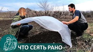 🌿 The First Planting of Seeds in March in the Gordeev Garden