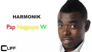 Harmonik - Pap Negosye W