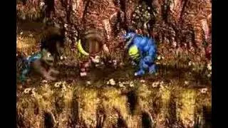 Donkey Kong Country 3 (SNES) 103% 8/26