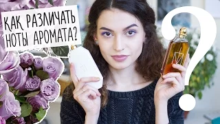 Ноты и пирамида аромата. Как различать ноты в парфюмерии? ♥ Anisia Beauty