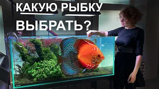 Каких рыбок можно поселить в аквариум | Обзор аквариумов |