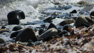 LITTLE HUNTERS BEACH • Pebble Beach  • 10H Ocean Waves