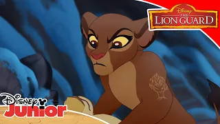 🌴 The Tree Of Life | The Lion Guard | Disney Junior UK