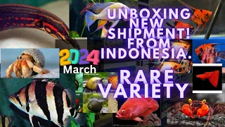 Unboxing Tropical Fish Shipment | Rare Variety | Tropical Fish Shipment at Aquatic House