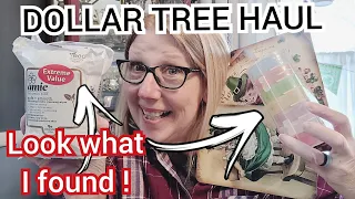 DOLLAR TREE HAUL | LOOK WHAT I FOUND | THESE WERE ONLY $1.25 | WOW my LUCKY DOLLAR TREE