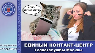 Единый контакт-центр Госветслужбы Москвы: круглосуточно на связи с владельцами животных