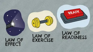 Stimulus Response Theory - Edward Thorndike (Definition + Examples)