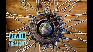 Bmx freewheel removal (the ghetto way!) no special tools needed!