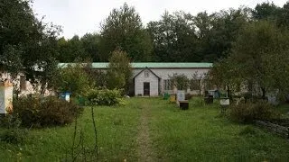 Apiary At Prokopovych Beekeeping Museum In Ukraine