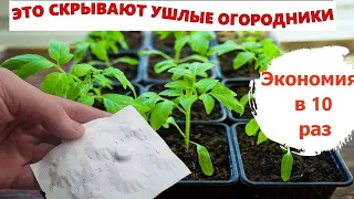 ВСЕГО 1 ТАБЛЕТКА и Любая Рассада Будет  Богатырская и коренастая.