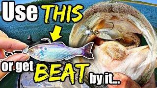 The #1 Technique in Bass Fishing that the Pros DON'T want You to Know...