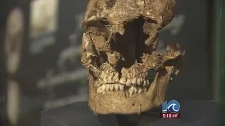 Cannibalism uncovered at Jamestown settlement