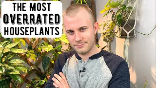 The Most Overrated Houseplants