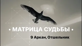 9 Аркан, ОТШЕЛЬНИК, МАТРИЦА СУДЬБЫ