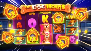 Dog House Megaways Bonus Buys...INSANE LUCK!