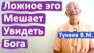 ЛОЖНОЕ ЭГО МЕШАЕТ УВИДЕТЬ БОГА • ВАДИМ ТУНЕЕВ