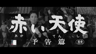 【大映4K映画祭／赤い天使】特別映像