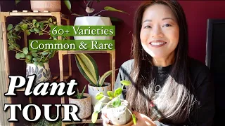 🪴 Easy Care and Unique Indoor Plant Collection | 🌱 Styling + Care Tips | Full Houseplant Tour