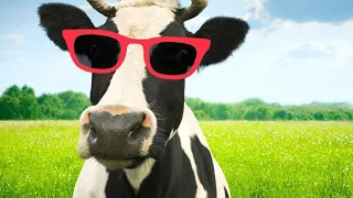 Деревенские будни🚜Сельская жизнь 🐄