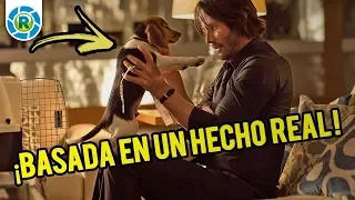 Curiosidades de JOHN WICK, todo lo que no sabías