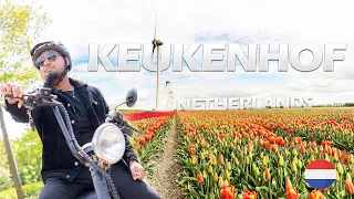 Keukenhof Gardens 2023: Discover the Magical Tulip Wonderland on E-Bike Adventure with Jahangir Ali