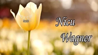 Nicu Wagner - Colaj cu cantari crestine noi