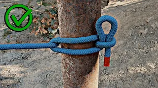 Do you Know the Secret to the Incredible knot? Mysterious knot