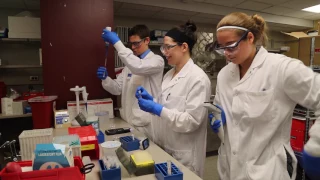 MLS Clinical Rotations Spotlight: Central Clinical Laboratory