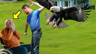 Evil Son Attacks His Disabled Dad, Then An Angry Eagle Appears & Does Something Unbelievable