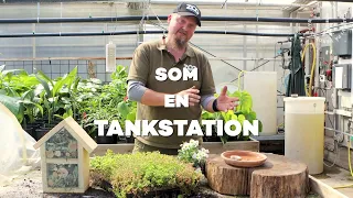 GUIDE: 3 tips til at få mere biodiversitet på din altan 🐝🐦